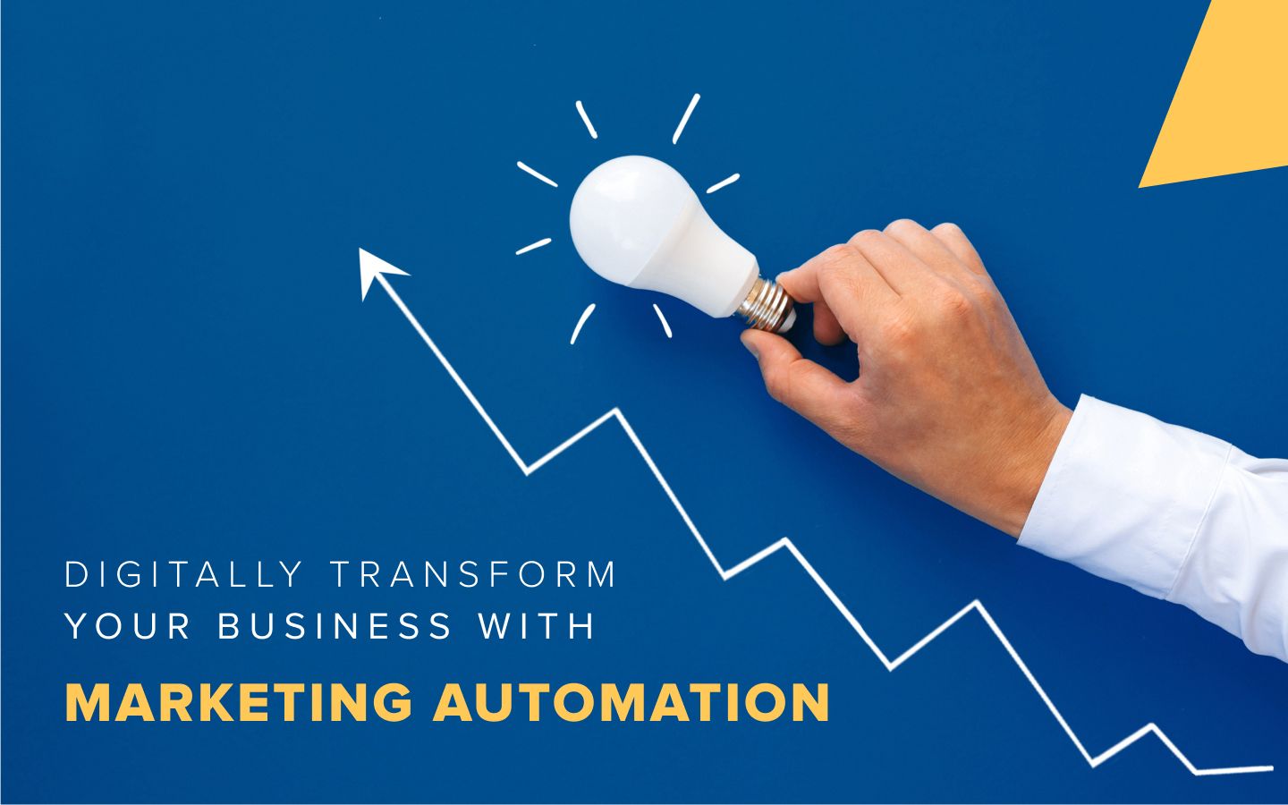 Transform Your Business With Marketing Automation With The Best Workflow Automation Platform